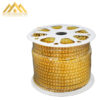 Đèn led dây 2835 ba màu