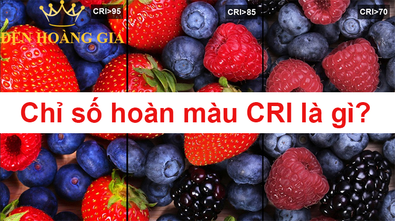 Chỉ số hoàn màu CRI là gì?