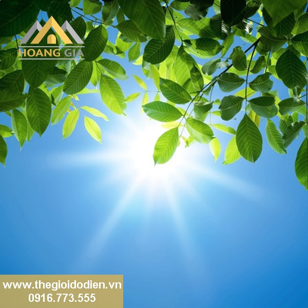 Vai trò của ánh sáng trong phong thủy