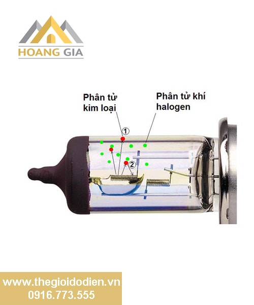 So sánh ưu và nhược điểm của đèn LED pha và đèn Halogen
