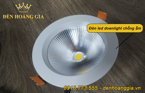 Mẫu đèn led downlight chống ẩm