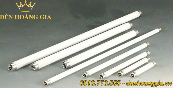 Bóng đèn nào tiết kiệm điện nhất