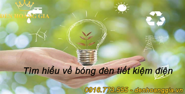 Bóng đèn nào tiết kiệm điện nhất