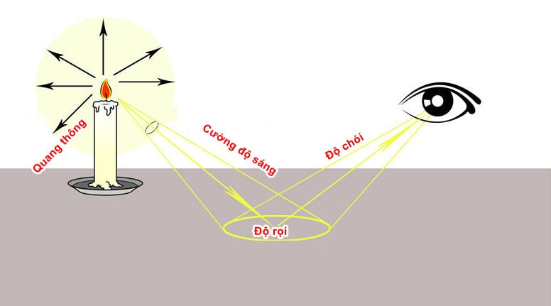 Đội rọi lux là gì