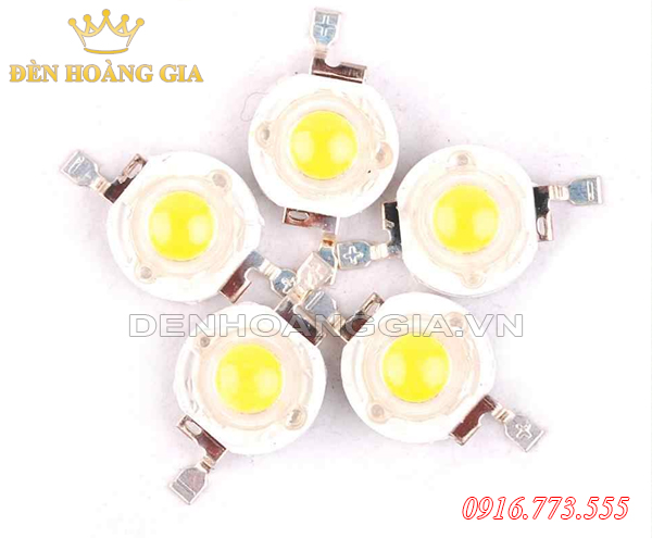 Chip led hạt