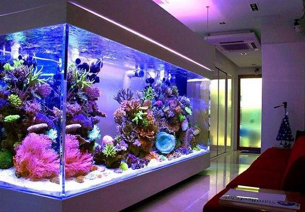 Đèn âm nước giúp cho bể cá sinh động hơn