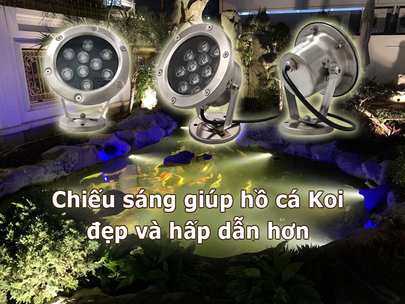 Chiếu sáng giúp hô cá Koi ân tượng hơn