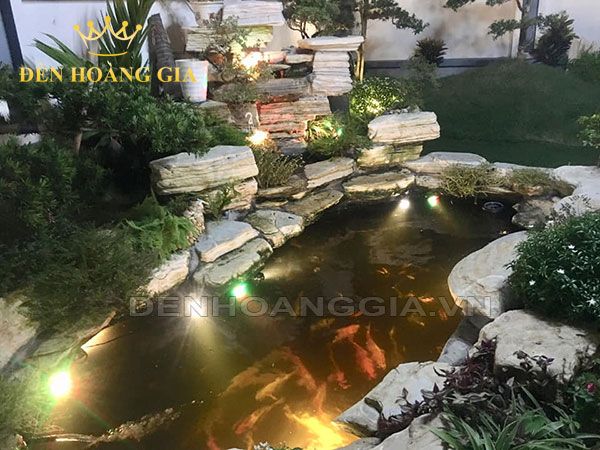 Cách chọn đèn led cho hồ cá tiểu cảnh sân vườn | Đèn Led Hoàng Gia