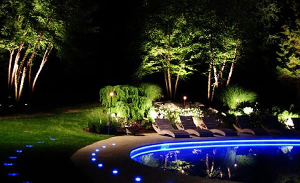 Đèn led hồ cá có độ bền, tuổi thọ cao nên giảm được chi phí tiền điện, thay thế và đổi mới Đèn led hồ cá có độ bền, tuổi thọ cao nên giảm được chi phí tiền điện, thay thế và đổi mới