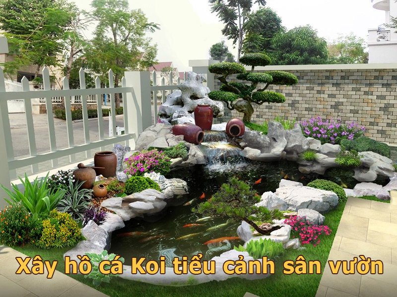 Xây hồ cá Koi tiểu cảnh sân vườn