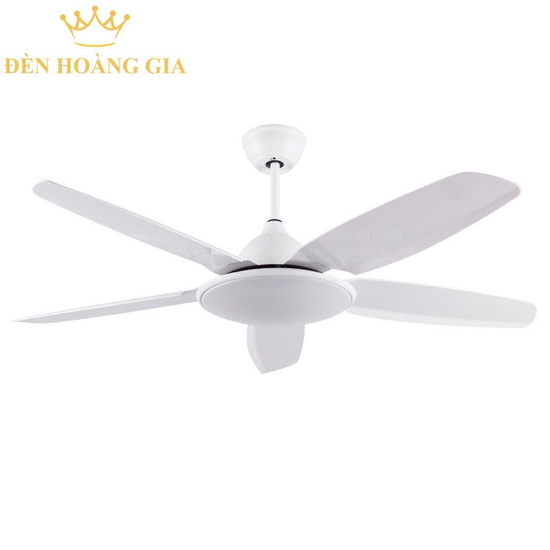 Quạt trần đèn ROLUX-QTD-810-T