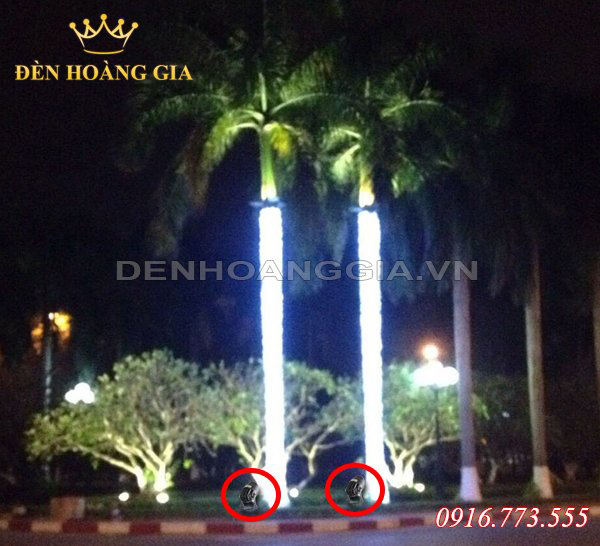 cay-than-thang-dung-dung-den-chieu-sang.jpg