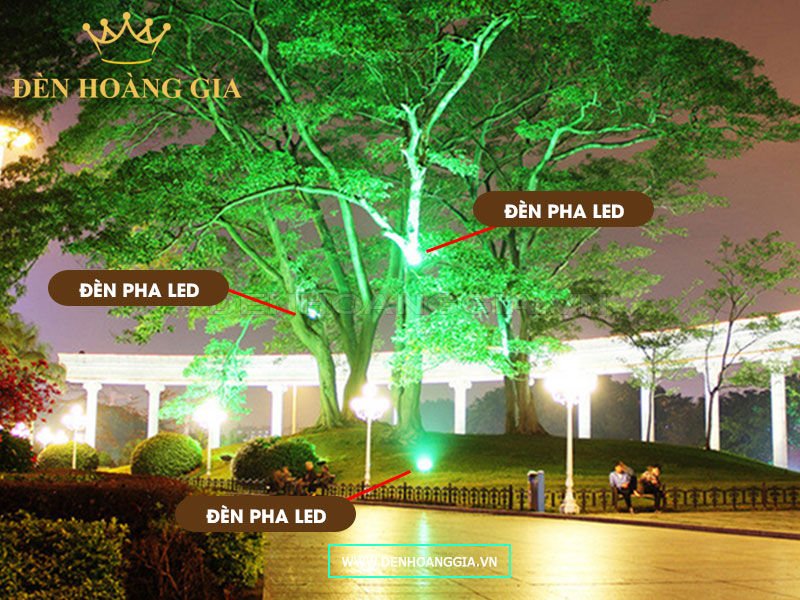 Giải pháp chiếu sáng cây xanh ngoài trời với đèn pha led