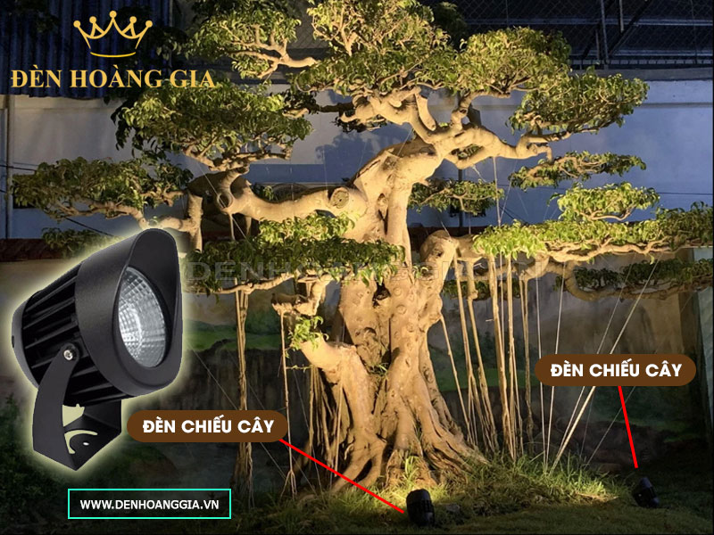 Lắp đèn led chiếu cây bonsai trong sân vườn