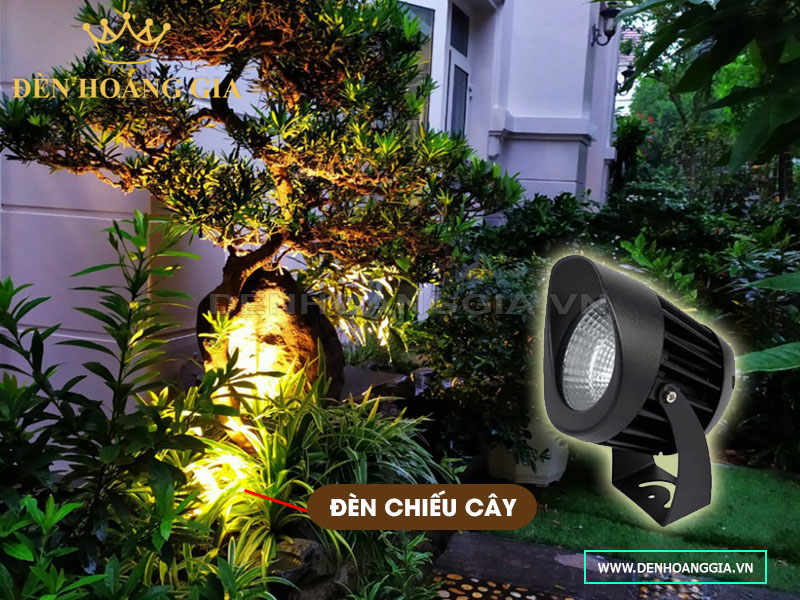 Ứng dụng lắp đèn led chiếu cây tiểu cảnh sân vườn