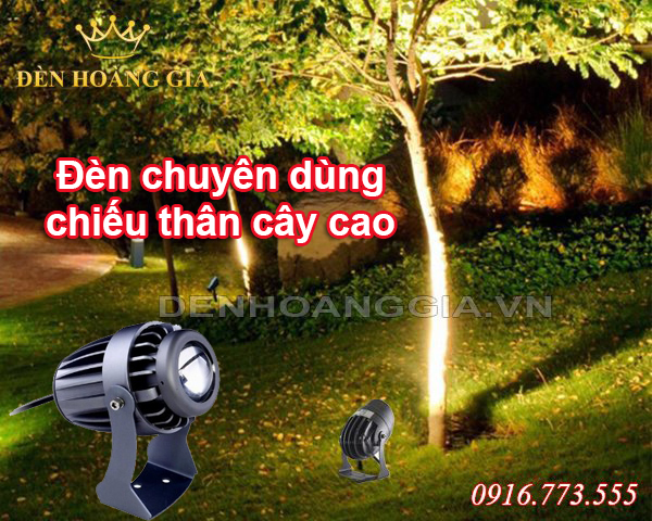đèn chiếu cây cao