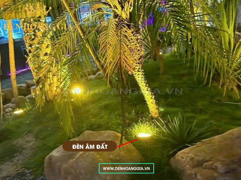 Trang trí và chiếu sáng cây xanh ngoài trời với đèn led âm đất