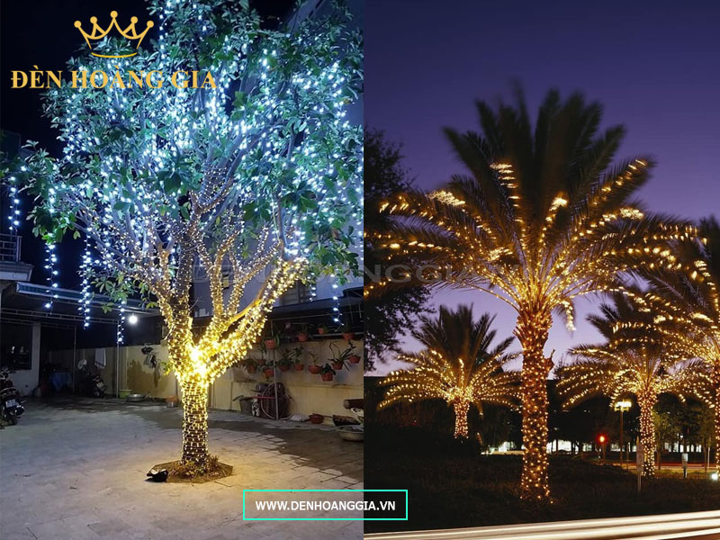 Ứng dụng lắp đèn led dây trang trí cây