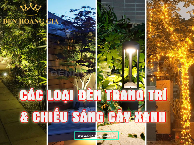 Các loại đèn trang trí chiếu sáng cây xanh