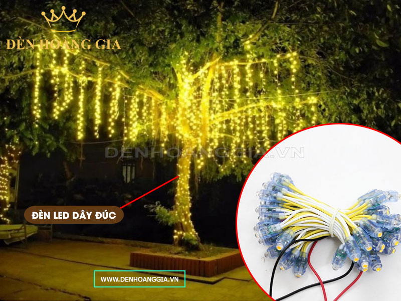 Trang trí cây với đèn led dây đúc F5 F8