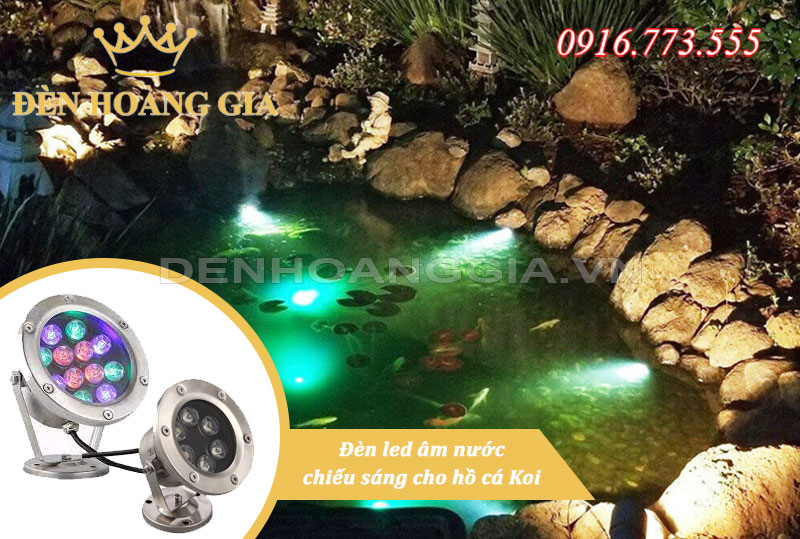 Đèn led âm nước chiếu sáng hồ cá Koi IP68