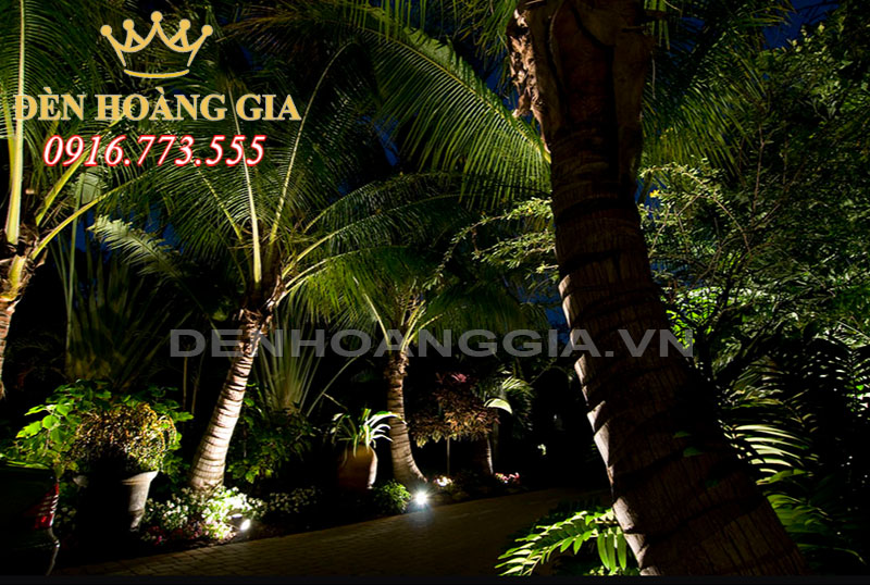 Cây cối được trồng ở nhiều nơi, vừa để trang trí cảnh quan, vừa để lấy bóng mát