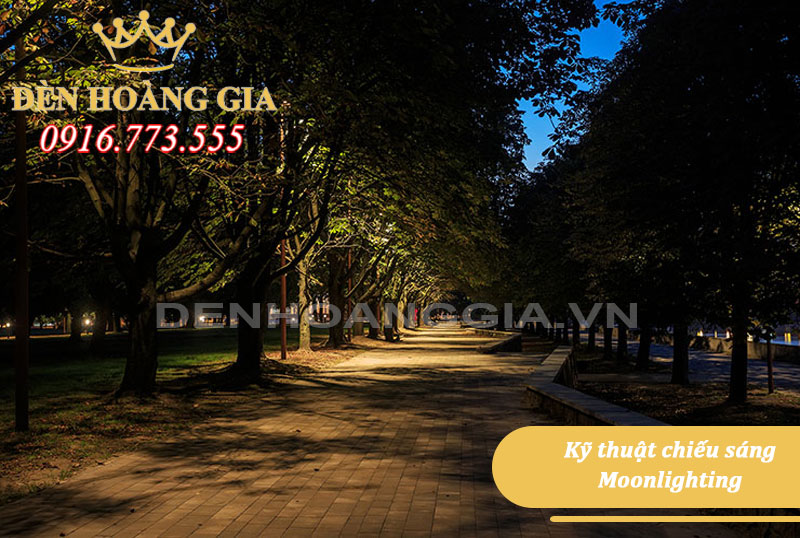 Kỹ thuật chiếu sáng Moonlighting