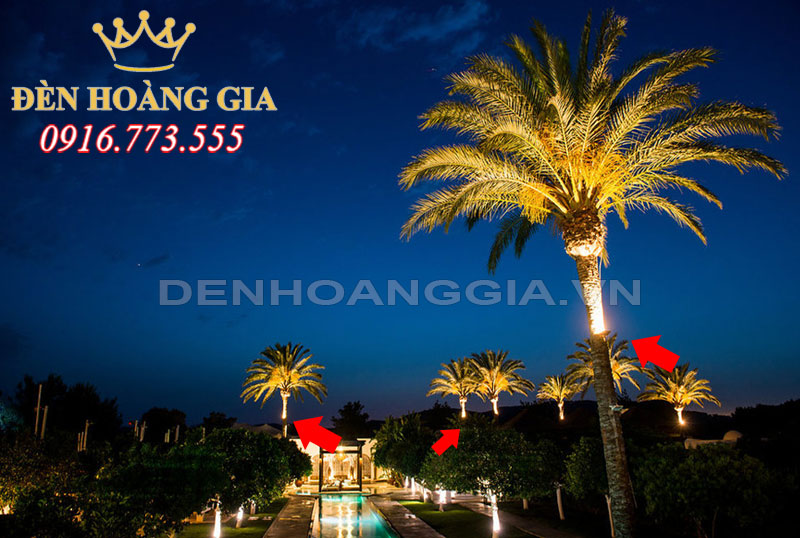 Chiếu sáng tán lá cho cây cọ dầu với đèn led hắt sáng dạng chiếu điểm