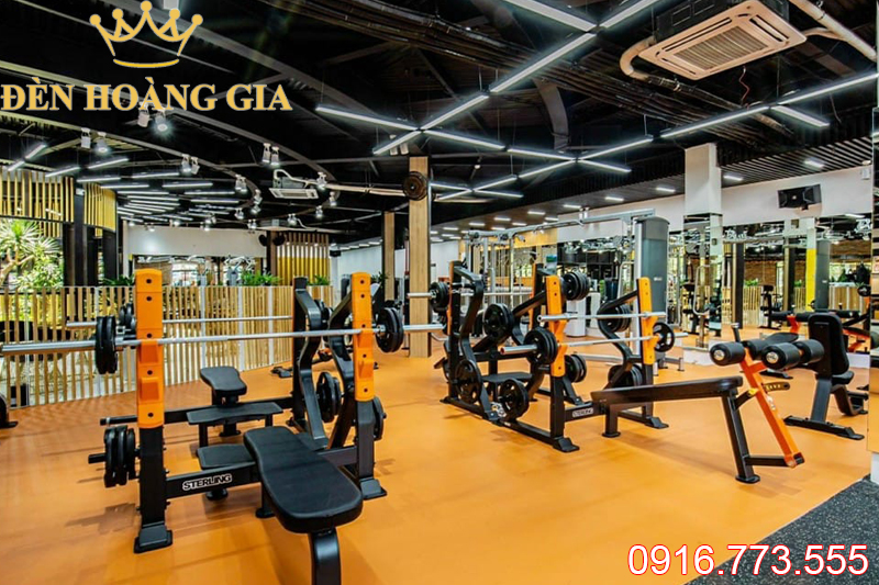 Ứng dụng cảu đèn led thả trần cho phòng gym