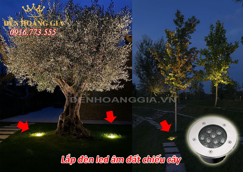 Lắp đèn led âm đất chiếu cây
