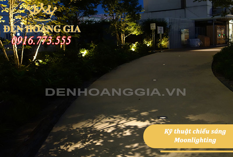 kỹ thuật chiếu sáng moonlighting