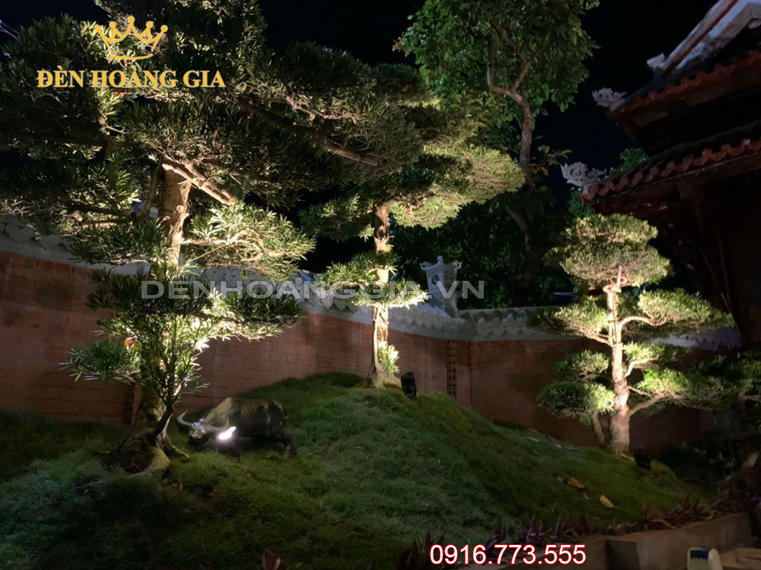 Đèn led chiếu điểm COB có mũ chiếu cây tùng