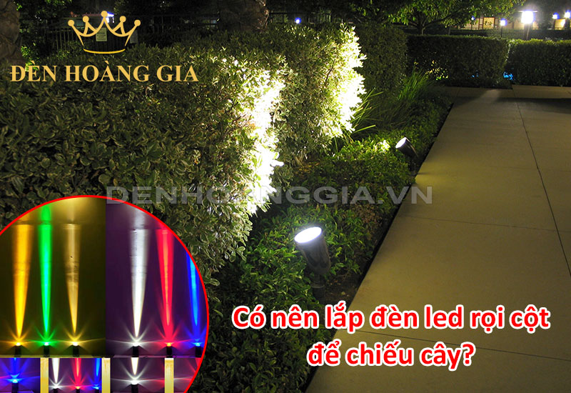 Có nên lắp đèn led rọi cột để chiếu cây không?