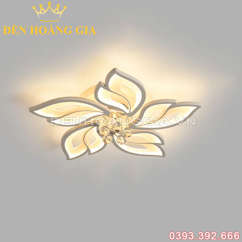 Đèn led mâm mica 5 cánh Rolux-MMC5C204602