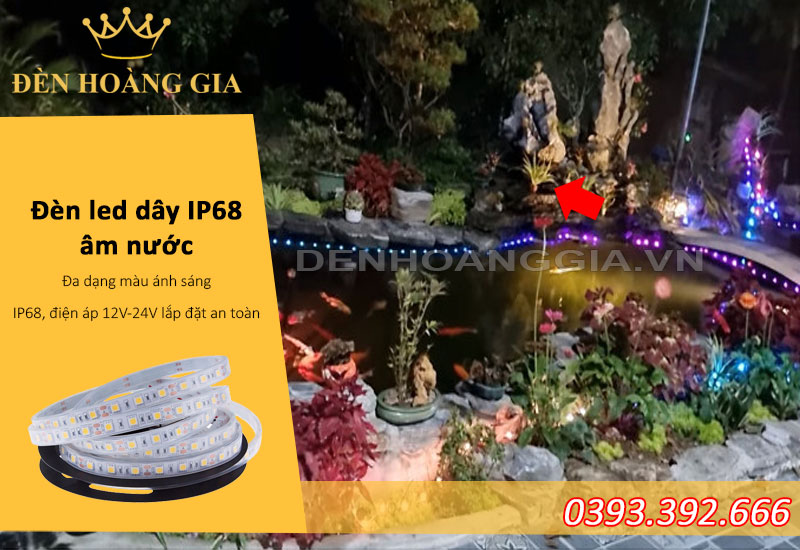 Đèn led dây âm nước trang trí ho ca Koi