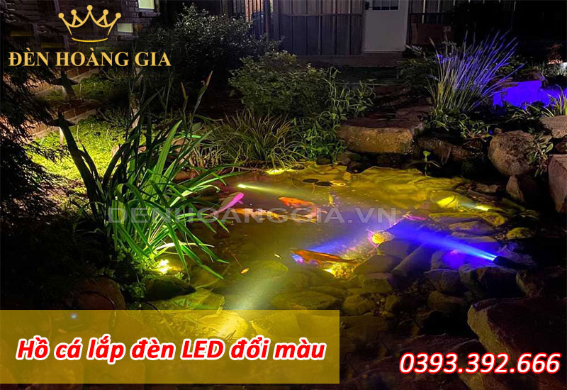 Hồ cá lắp đèn led đổi màu