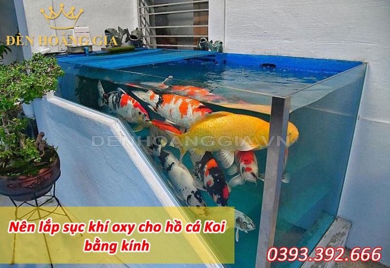 Nên lắp sục khí cho <yoastmark class=