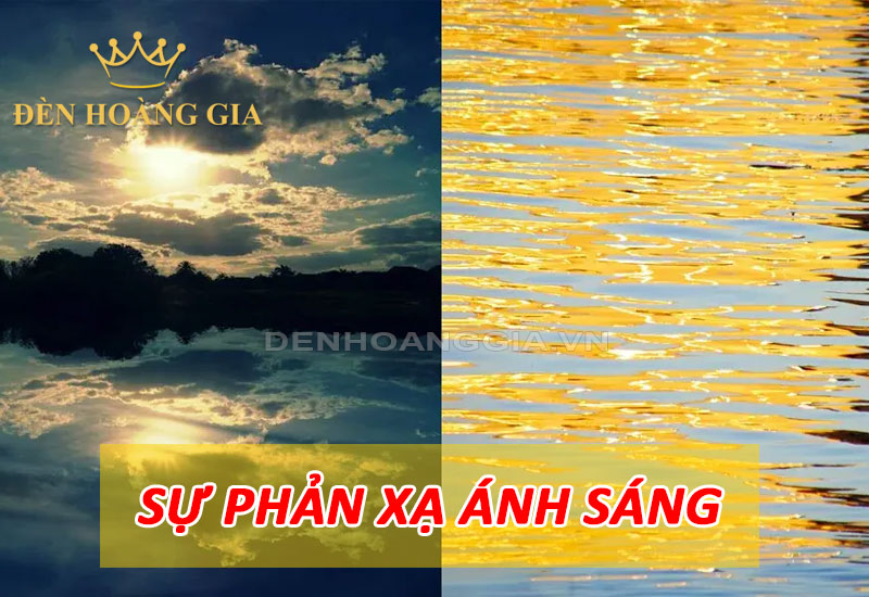 Minh họa sự phản xạ ánh sáng