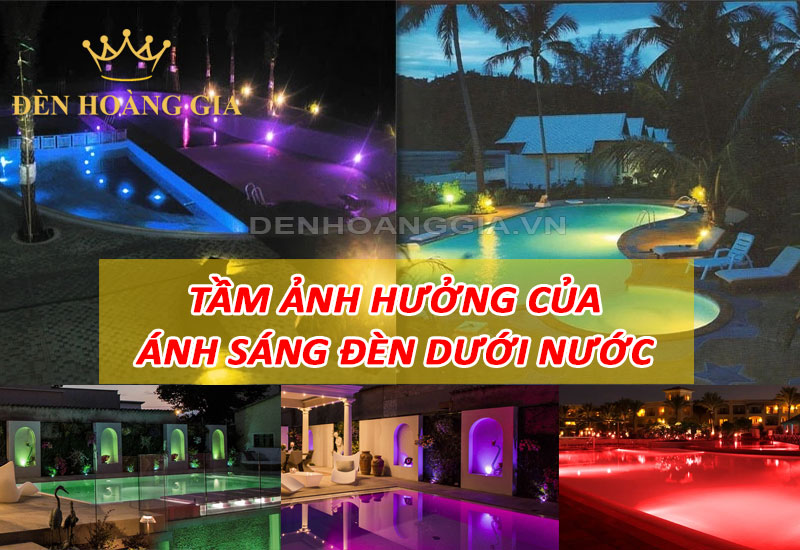 Tầm ảnh hưởng của ánh sáng dưới nước