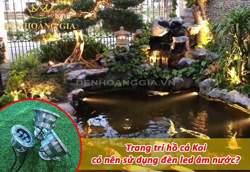 Trang trí hồ cá Koi có nên sử dụng đèn led âm nước?