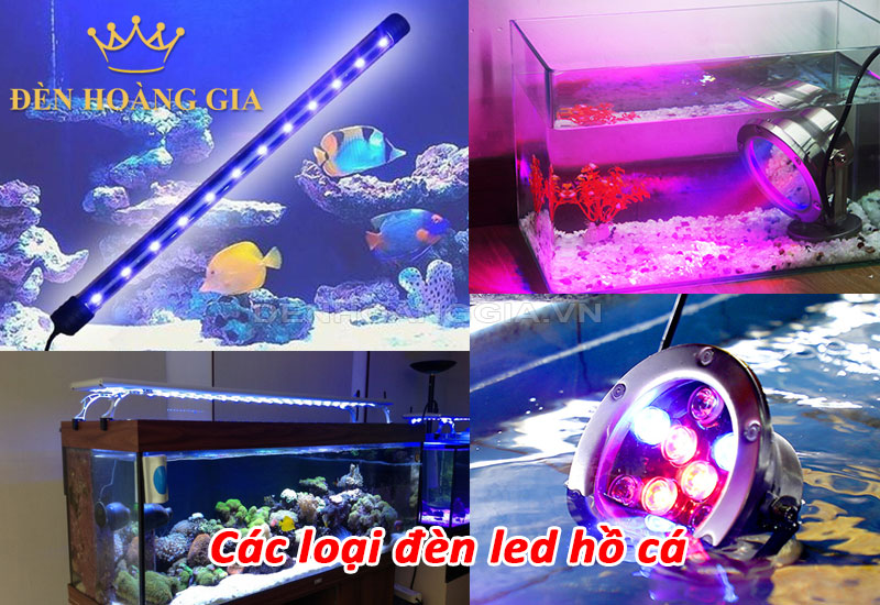 Các loại đèn led hồ cá