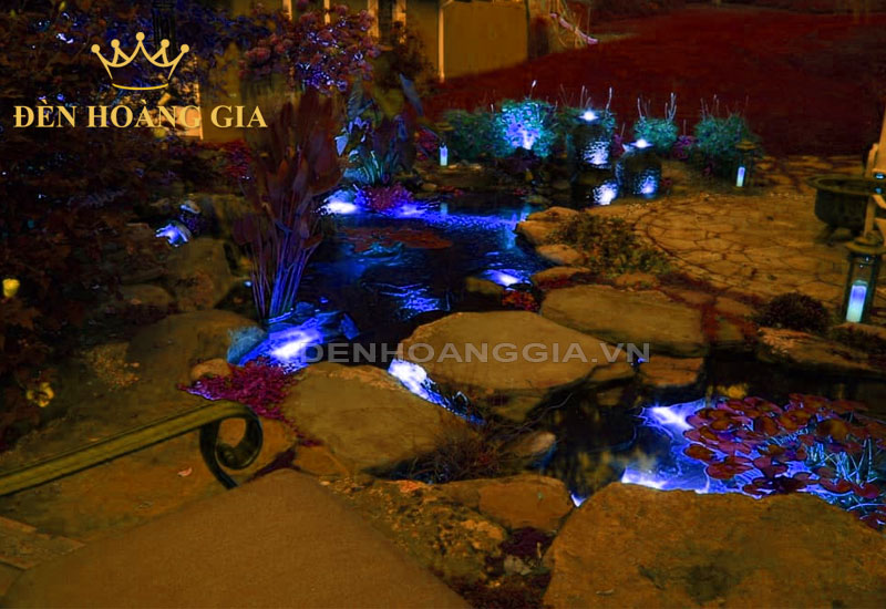 Chiều sáng hồ cá Koi màu xanh dương