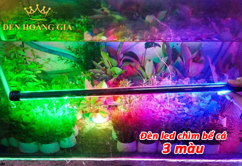 Đèn led chìm bể cá 3 màu