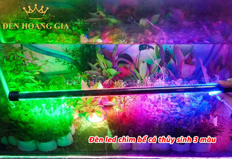 Đèn led chìm bể cá thủy sinh 3 màu