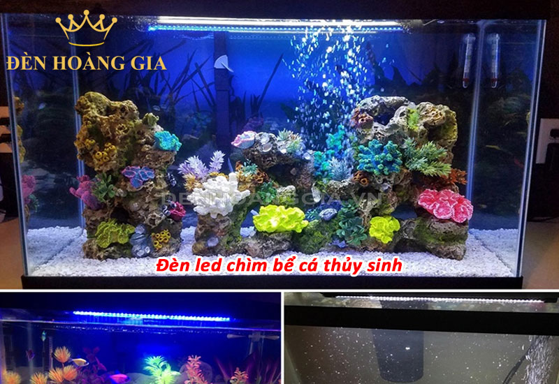 Đèn led chìm bể cá thủy sinh