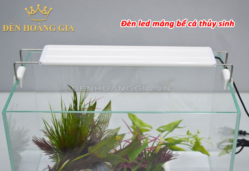 Đèn led máng bể cá thủy sinh