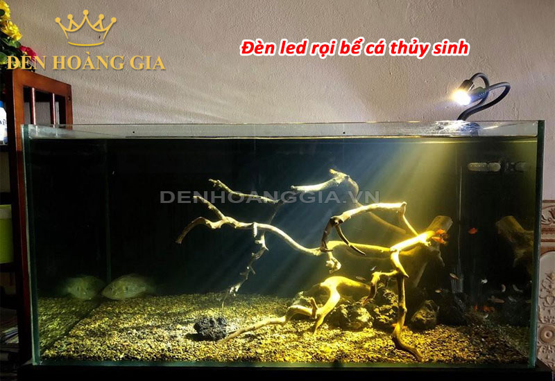 Đèn led rọi bể cá thủy sinh