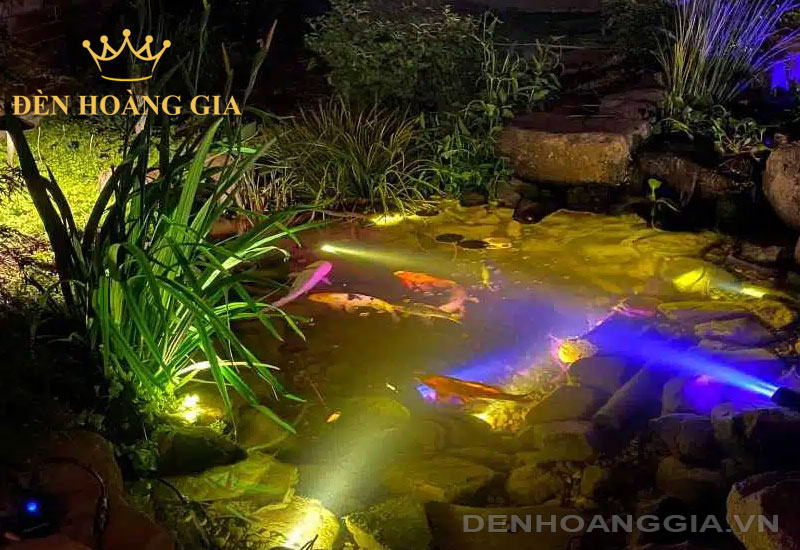 Hồ cá Koi được chiếu sáng tuyệt đẹp