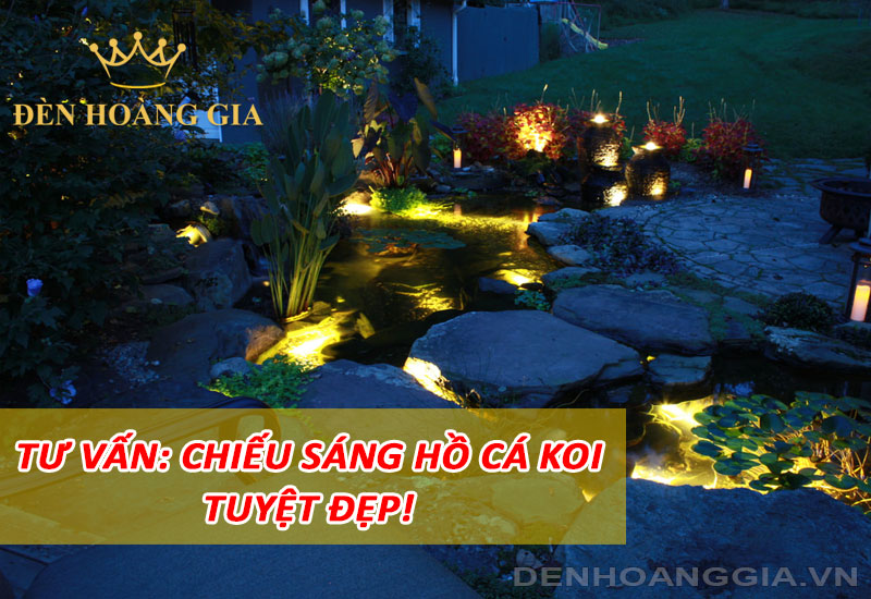 Tư vấn chiếu sáng hồ cá Koi