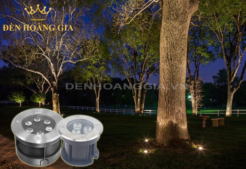 Ứng dụng lắp đèn led âm đất hình tròn chiếu cây